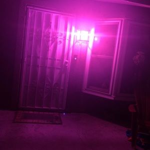 Beautiful bag for Monica